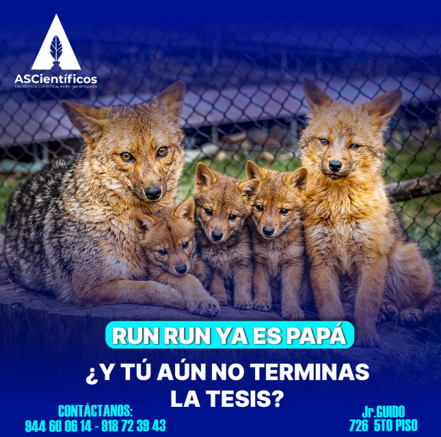 Promoción 2